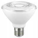 Lampada Led Par 30 9w 2700k