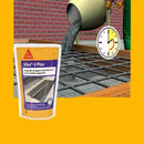 Sika 3 Plus 1 Lt