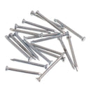 Cartela Prego Aço 1,60 X 20mm S/ Cabeça 20pc BemFixa