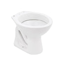 Bacia Convencional Izy Branco Deca