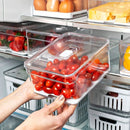 Organizador Clear Fresh 5l Natural OU